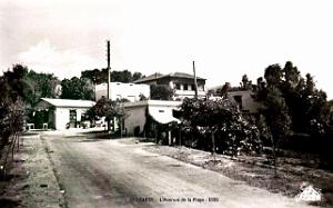 Le Figuier - Avenue de la Plage - 1956
